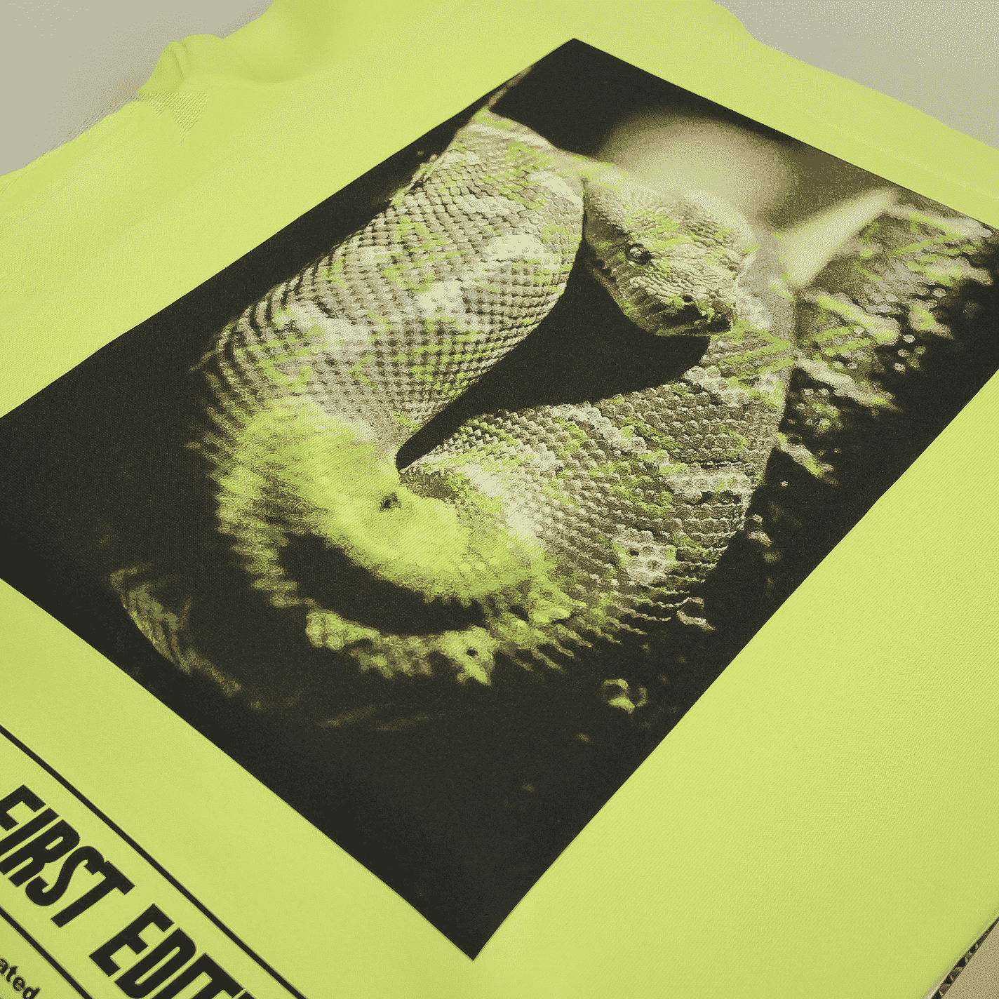 fotoprint op T-shirt voorbeeld