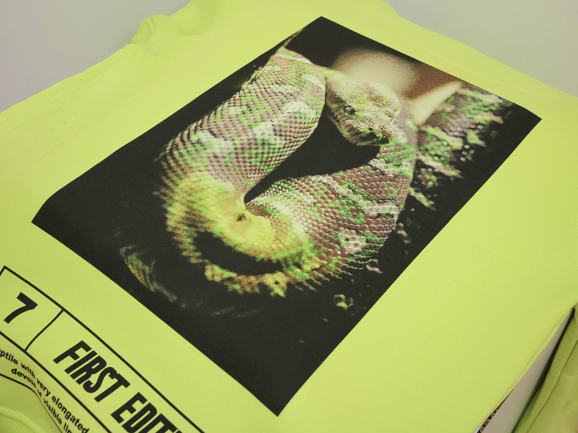 fotoprint op T-shirt voorbeeld